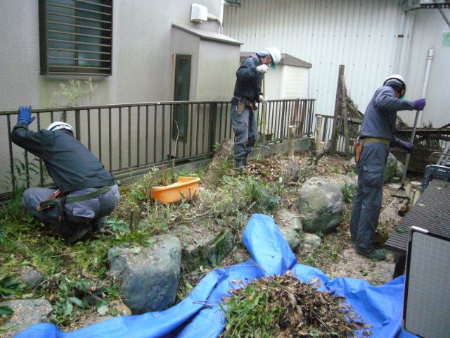 伐採した庭木を幹と枝葉に選別