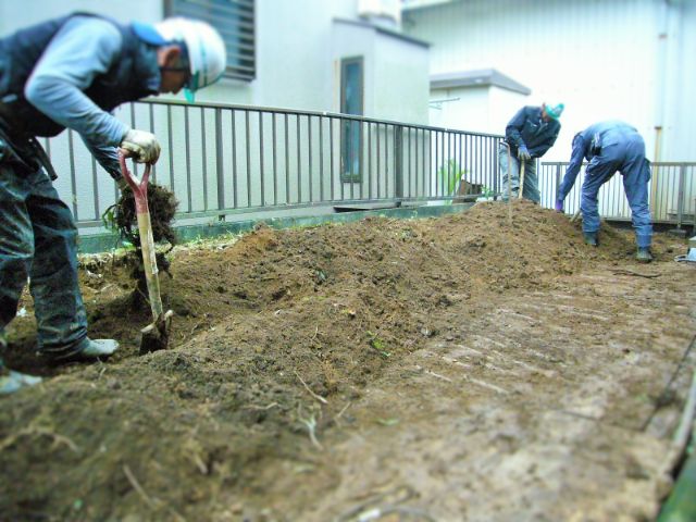 地中に残る小さな根っこも出来るだけ抜根