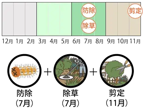 防除（7月）1回、除草（7月）1回、剪定（11月）1回