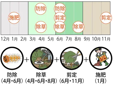 防除（4月・6月）各1回、除草（4月・6月・8月）各1回、剪定（6月・11月）各1回、施肥（1月）1回