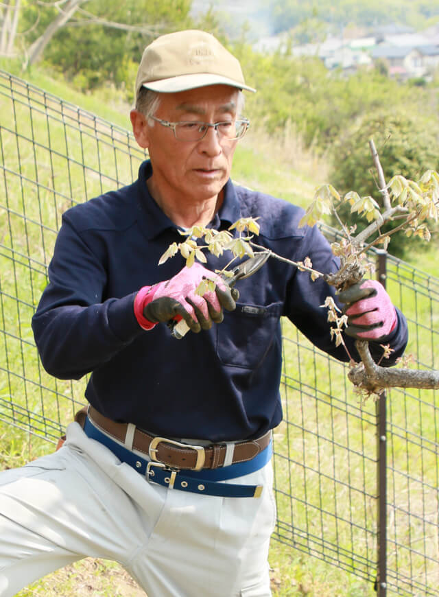 庭師・職人の宇佐美誠人