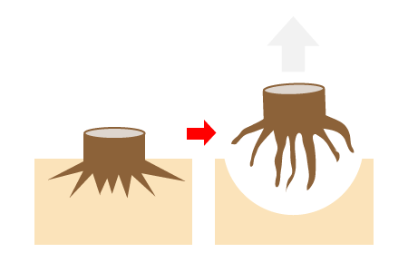 大きな切り株が根から除去されるイメージ
